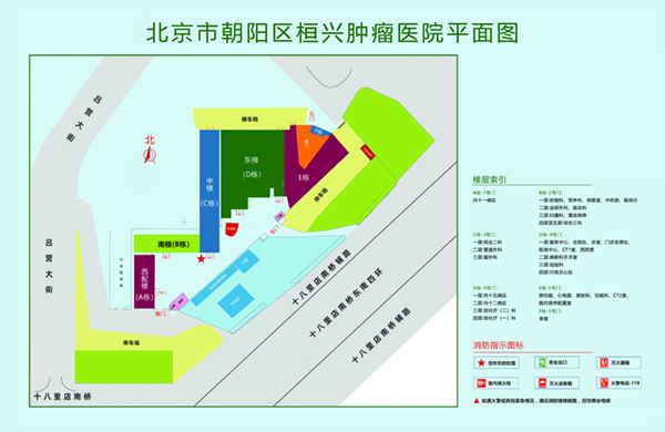 操中国老妇穴HD视频北京市朝阳区桓兴肿瘤医院平面图